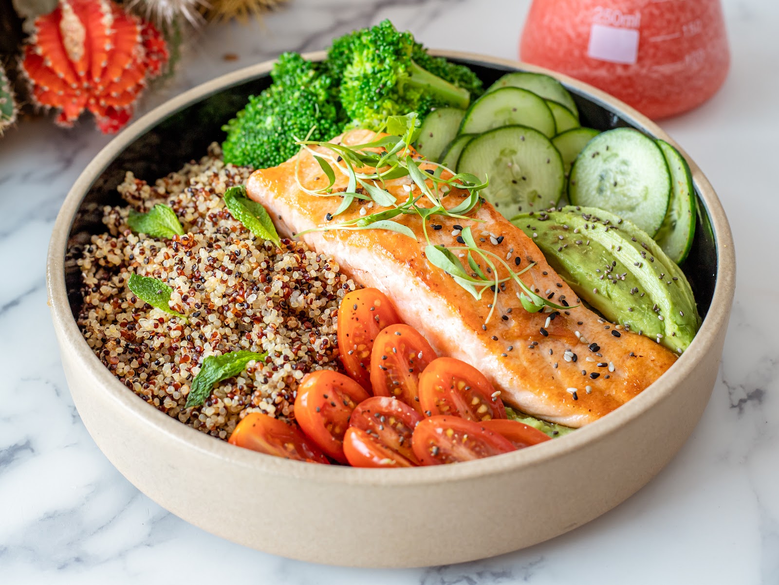 Quais são os melhores produtos low carb para quem está iniciando a dieta?