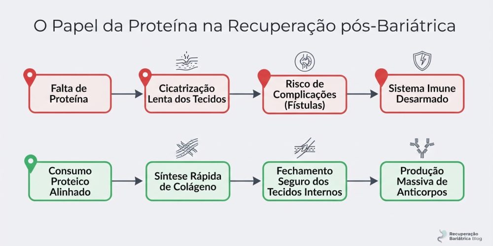 Cicatrização e Defesa Por que a Proteína dita a Velocidade da sua Recuperação pós-Bariátrica