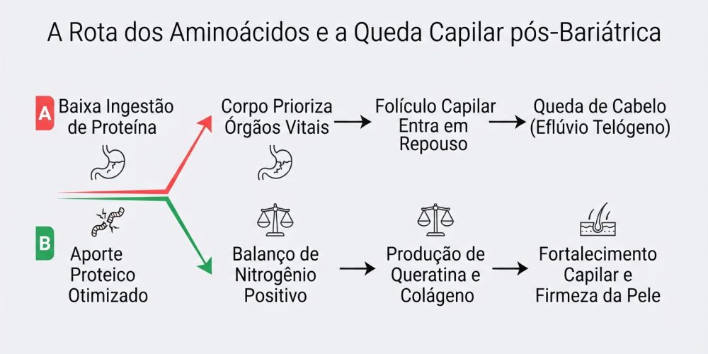Eflúvio Telógeno Pós-Bariátrica O Segredo Nutricional para Interromper a Queda de Cabelo Após a Cirurgia